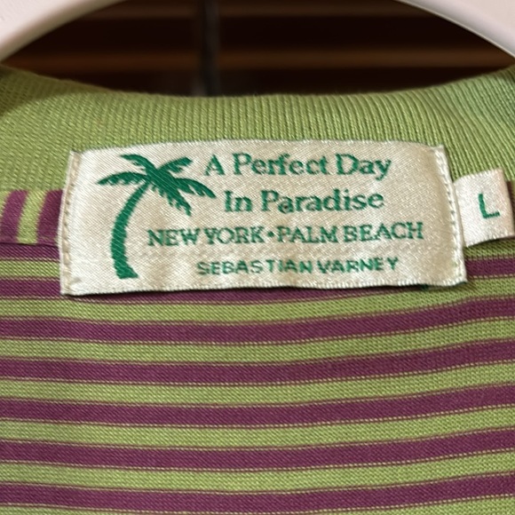 A Perfect Day In Paradise Sebastian Varney Lime Green And Purple Stripes Size L - Picture 2 of 9